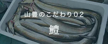 山豊のこだわり02 鱧