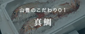 山豊のこだわり01 真鯛