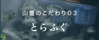 山豊のこだわり03 とらふぐ