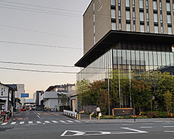 京都市中央卸売市場の場内