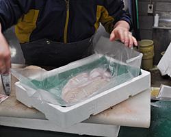 少量で購入できる鮮魚商品