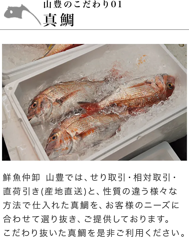 山豊のこだわり01 真鯛