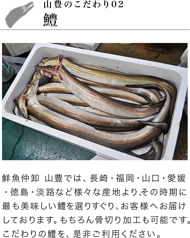 山豊のこだわり02 鱧