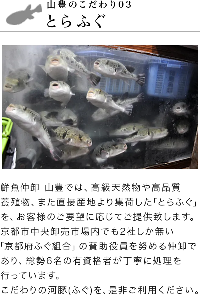 山豊のこだわり03 とらふぐ