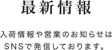 最新情報。入荷情報や営業のお知らせはSNSで発信しております。